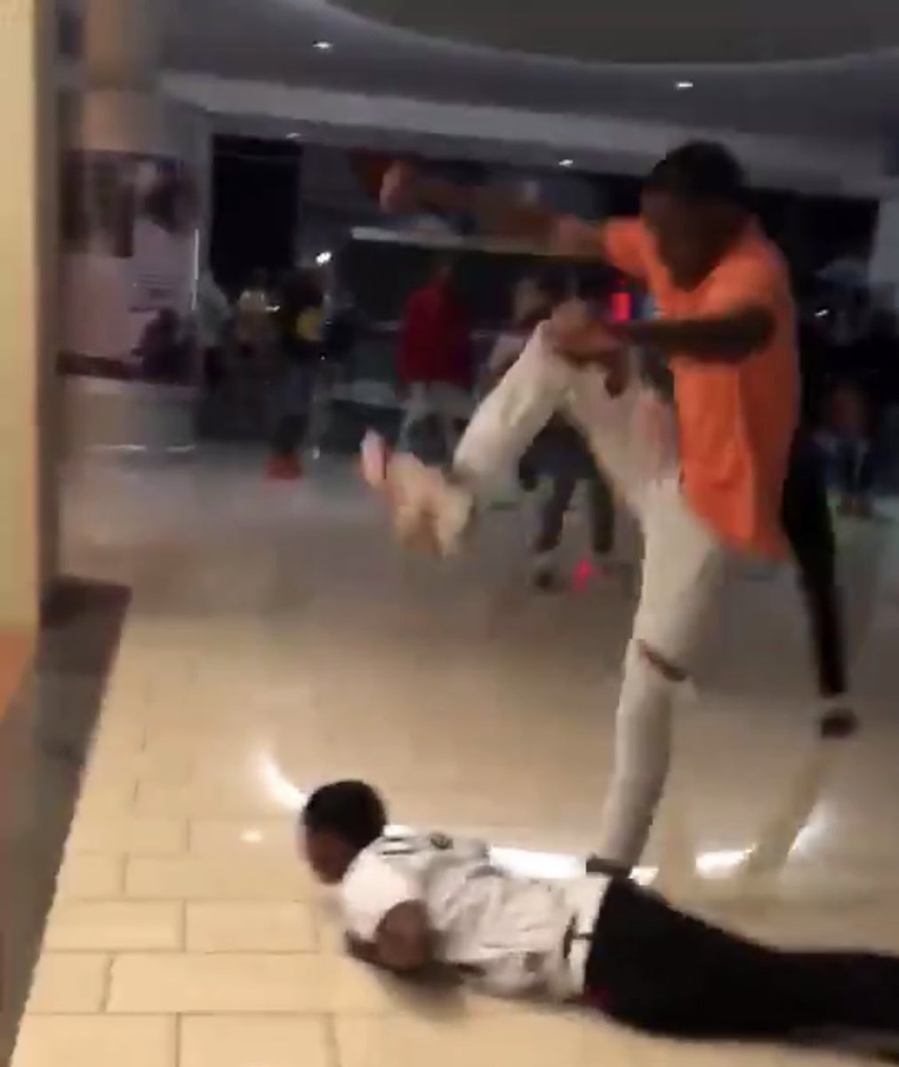 ryan 🤿 tweet media