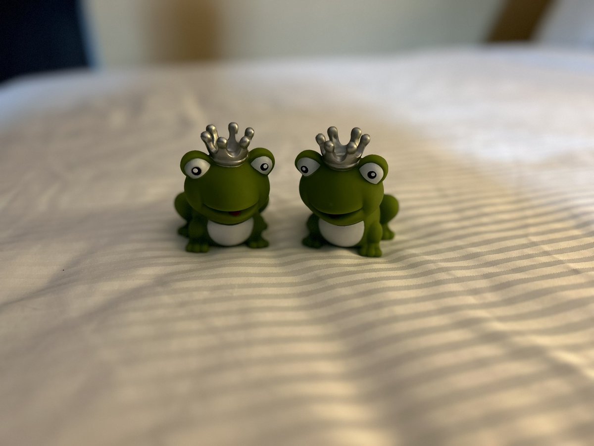 Catlin Pilon, DES tweet media