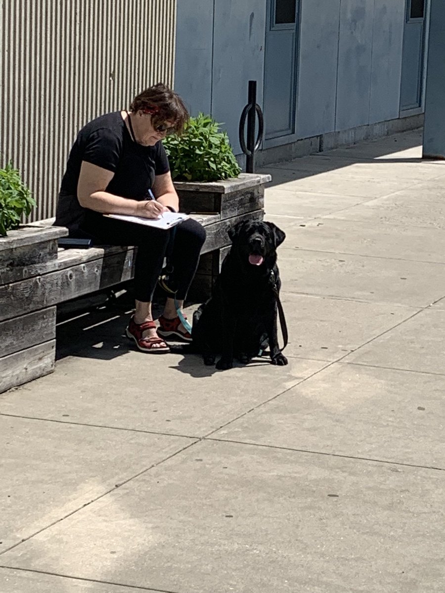 Ed Flynn 愛德華費連 tweet media