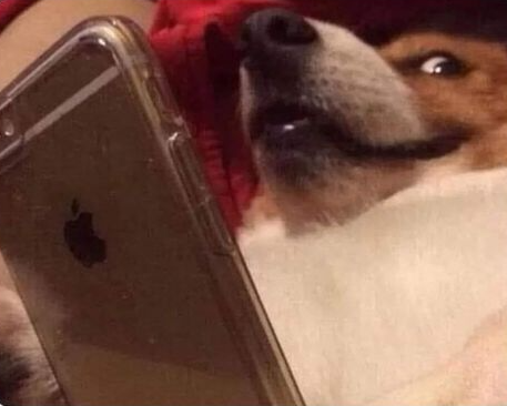 Cuando le mandas un meme a alguien en la misma habitación y esperas su reacción