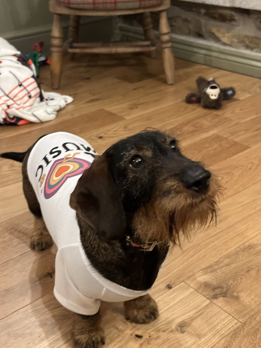 DachshundMaster's tweet photo. Waiting patiently for the public vote as I’m bored of the judges not appreciating the genius of Croatia  

#Eurovision #i❤️music #Croatia https://t.co/ylP5NnC9iD