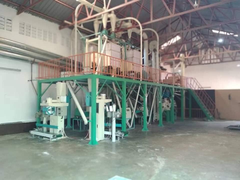 TalianMillers's tweet image. &quot;Trust Talian Grains for timely and efficient grain processing! Our state-of-the-art machines handle large volumes of grain with precision and care, delivering top-quality results. #TalianGrains #EfficientProcessing #StateOfTheArtMachines&quot;