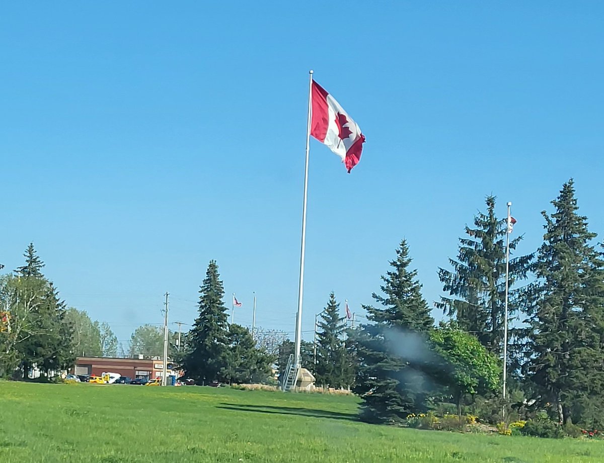 Dave MacLean tweet media