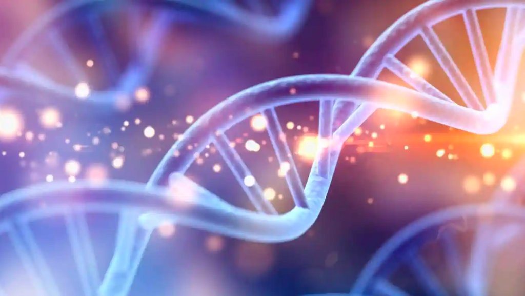 Berlin, 18 January 2023 – Veridos Announces Innovatrics as Strategic Partner for Advanced DNA ID Verification.

merchantfraudjournal.com/veridos-innova…

#fraudprotection #biometrics #database #cybersecurity