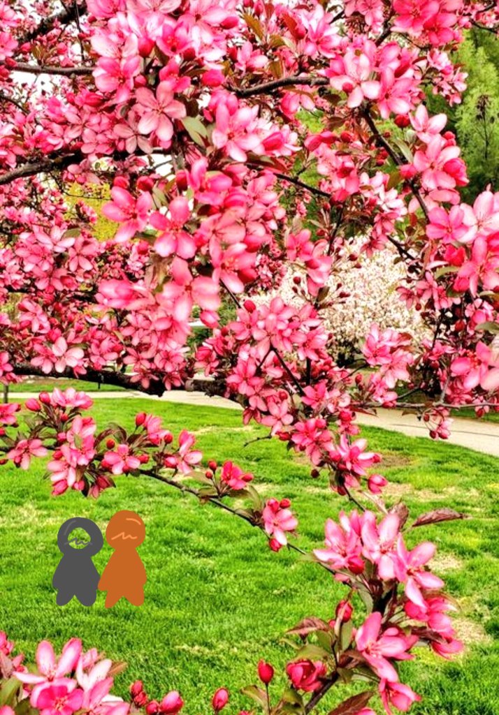 bluududist's tweet photo. I LOVE FLOWERS.
ILL INSTANTLY MARRY WHOEVER GIVES ME A FLOWER /hj /silly
#Victking https://t.co/5UZPNnmbkN