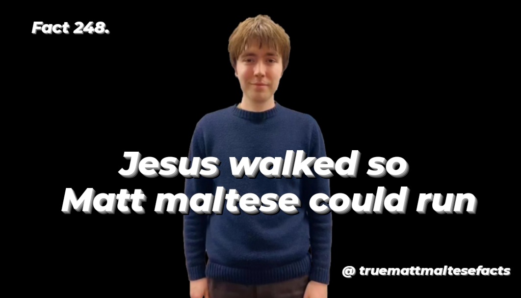 TrueMattMalteseFacts tweet media