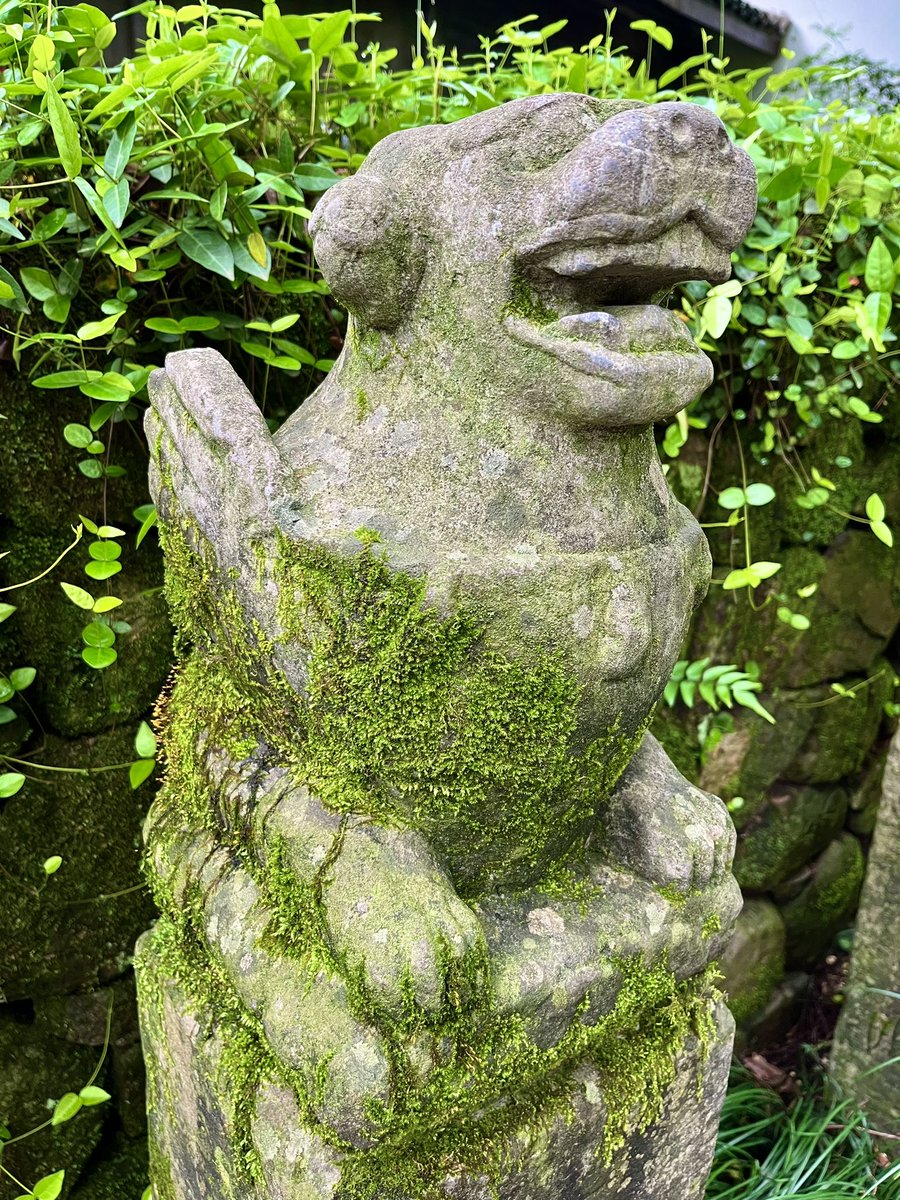 Qin Zhang 张秦 tweet media