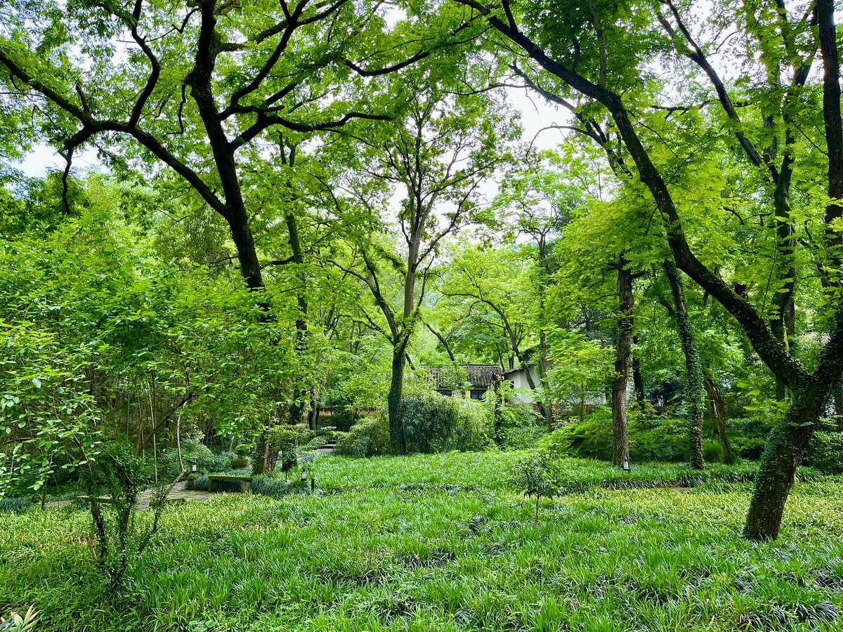 Qin Zhang 张秦 tweet media