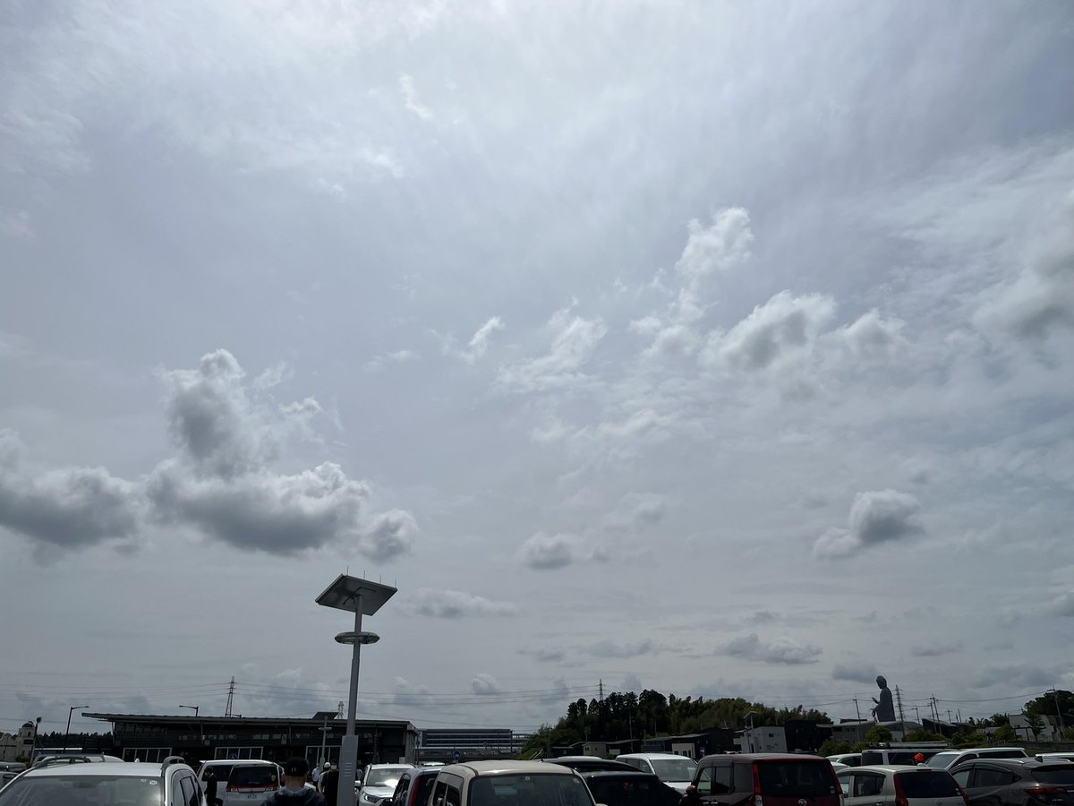 まりも on Twitter 