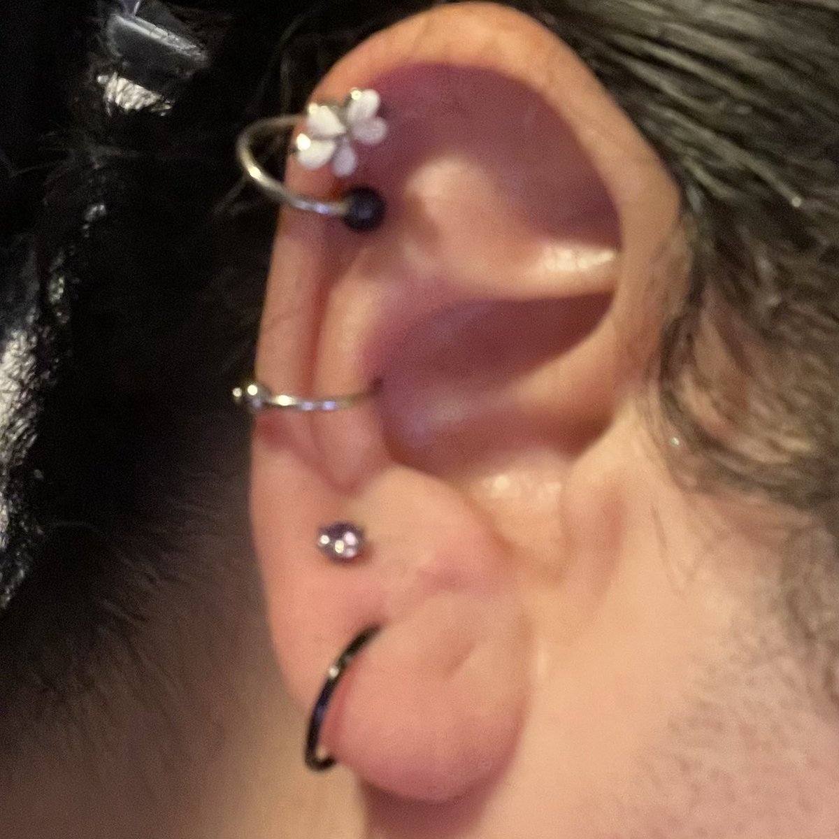 Soundtechdez's tweet photo. Added an industrial and a conch piercing. Ears are still a little swollen, but I’m so happy with them. https://t.co/5wMTcPIWRC