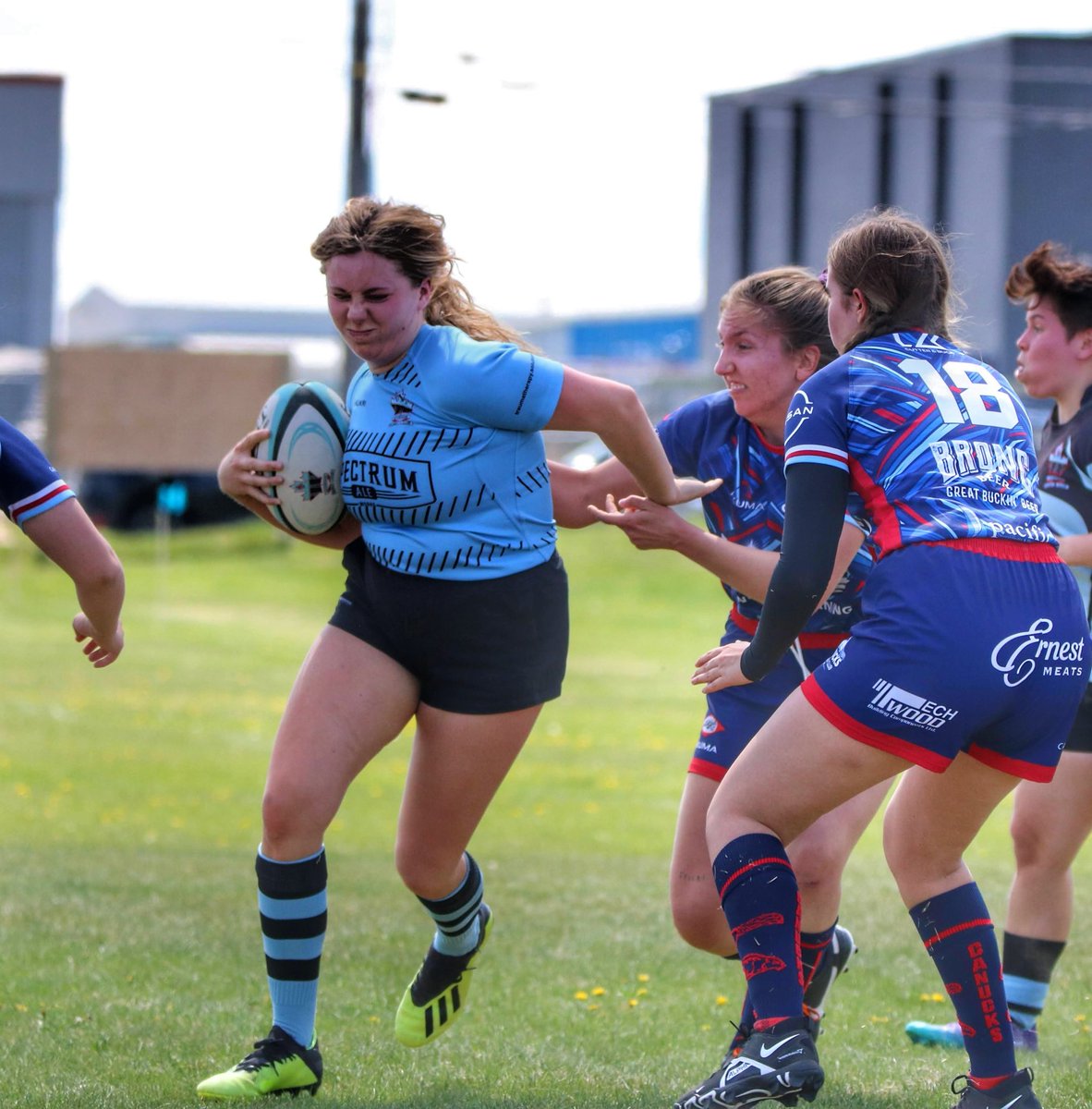 Jace Forsyth tweet media