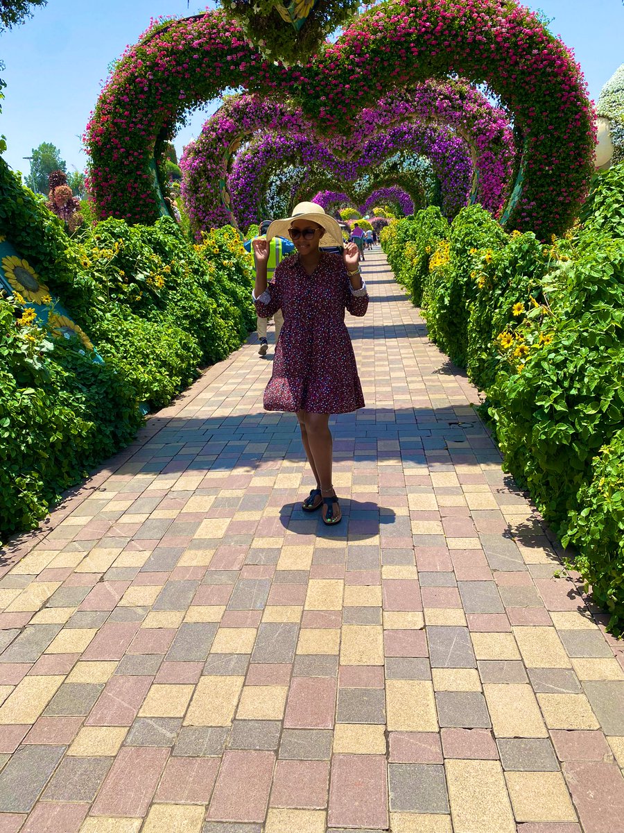 _Lady_Lois's tweet photo. How my week has been in pictures 🍹🏝️🍹🥂🥰❤️ https://t.co/4lgNsMB3H8