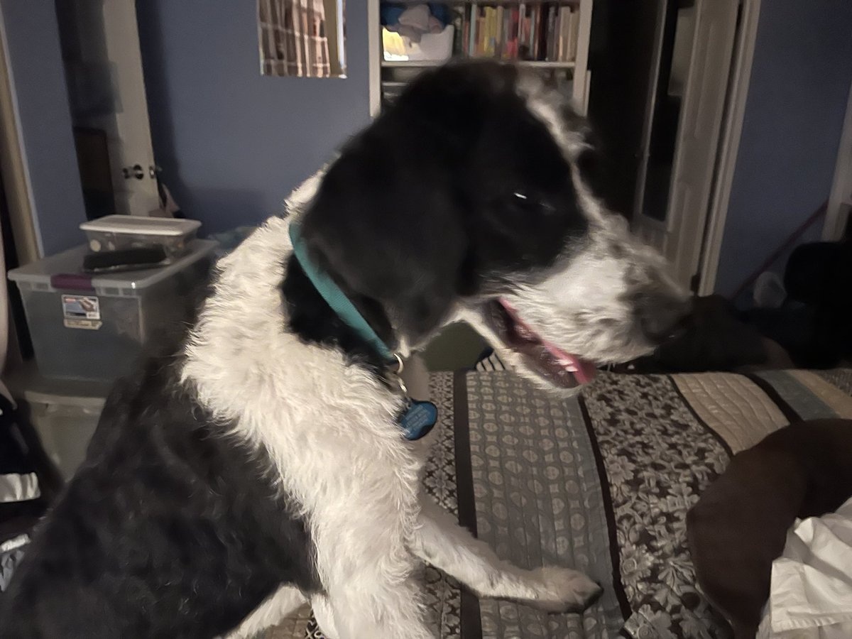 Sarahlynn Lester tweet media