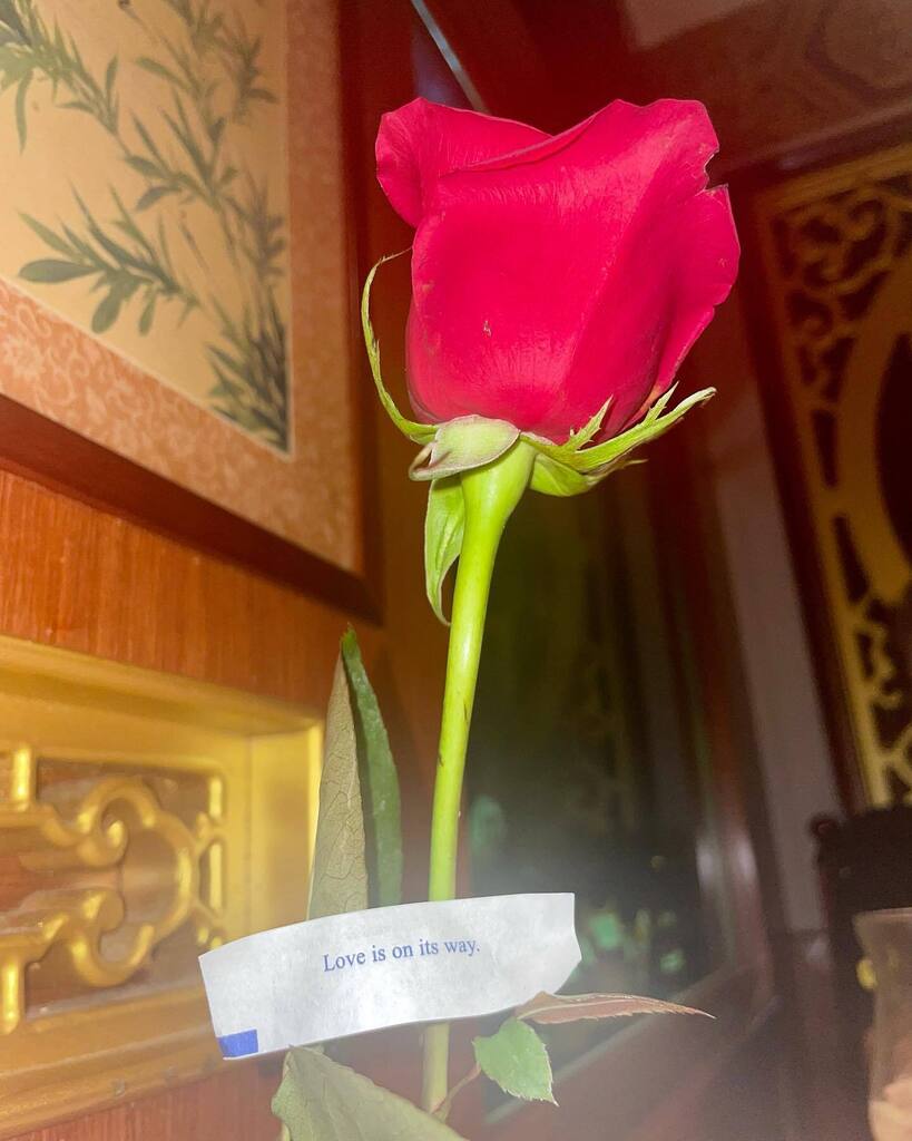 darknetstories's tweet photo. Is this all that is to be set and done, 
or am I fortune’s fool? 

#poetsofinstagram #roses #prophecies #fortuneteller #virginmary #faith #romance #love #ourladyoffatima #prayforus https://t.co/LpJfio2KPT