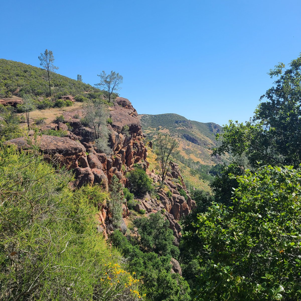 maya_tibayan's tweet image. went hiking :)

#pinnacles #hiking #hikingadventures