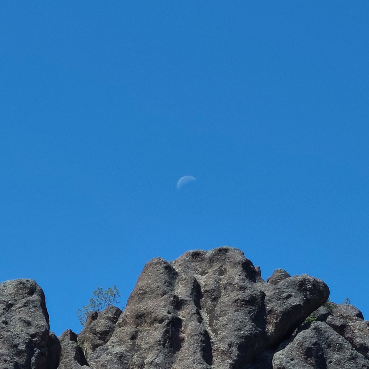 maya_tibayan's tweet image. went hiking :)

#pinnacles #hiking #hikingadventures