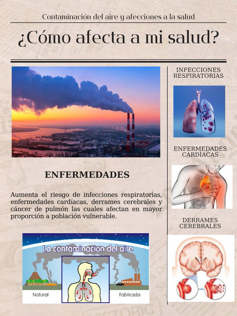 Contaminación del aire y sus afecciones a la salud tweet media