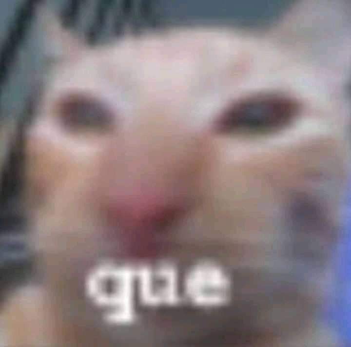 pxzz_5's tweet photo. No entiendo a unas cuentas de #sexrol en su fijado dicen que les disgusta el NTR ,pero luego andan publicando cosas haciendo alusión al NTR con su personaje... https://t.co/OaPhfVcd70