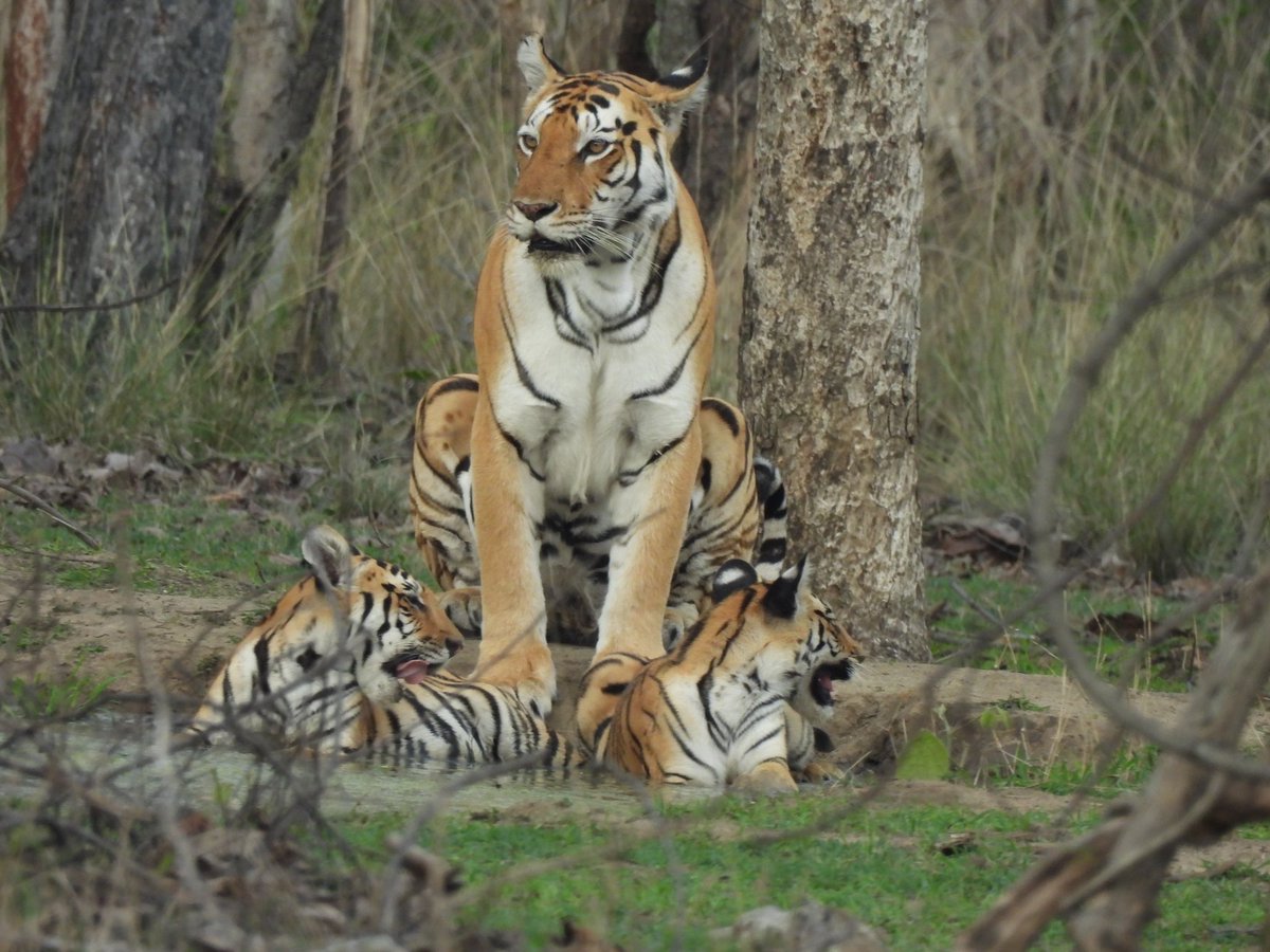 Navin Madhavan tweet media