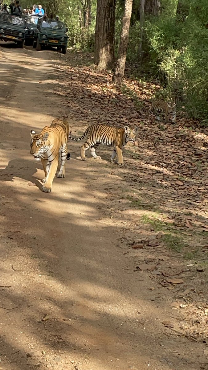 Navin Madhavan tweet media