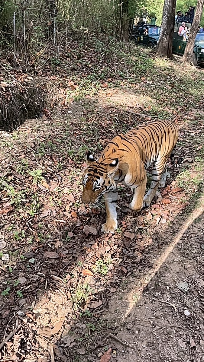 Navin Madhavan tweet media