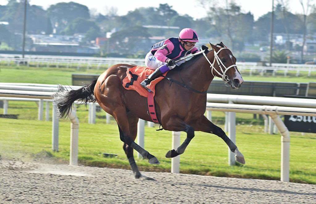 José da silva (@jose57513547) on Twitter photo 