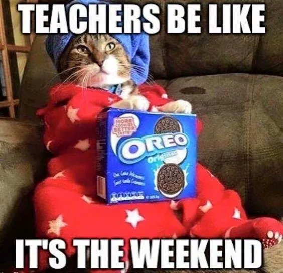 Enjoy! You earned it! #teachermeme #teacherfunny #twitterteacher #SaturdayMood