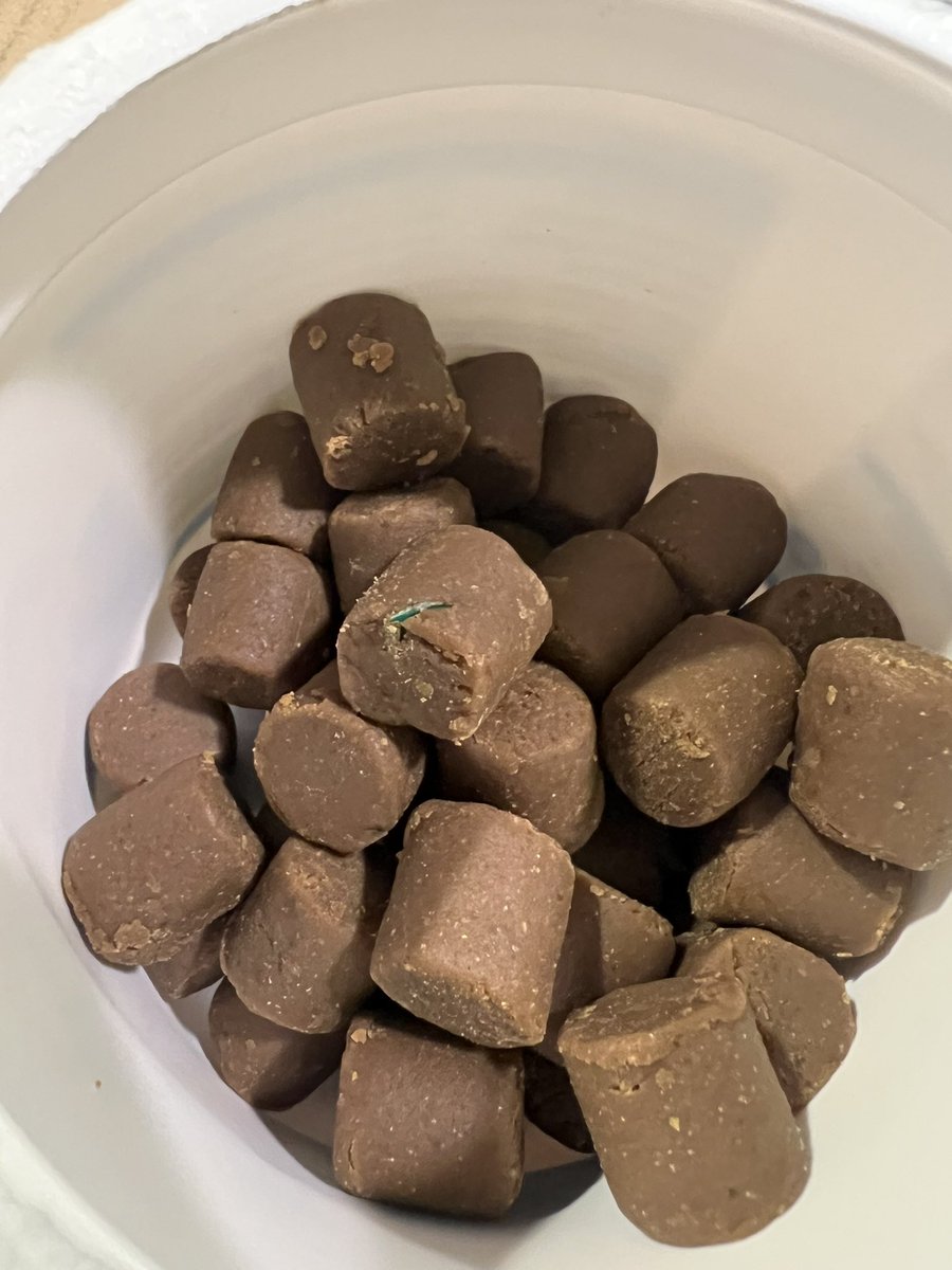 Kdaddy91's tweet photo. @Vetnique why is there a microchip in this glandex???? #vetnique #glandex https://t.co/0q7GjhaSDD