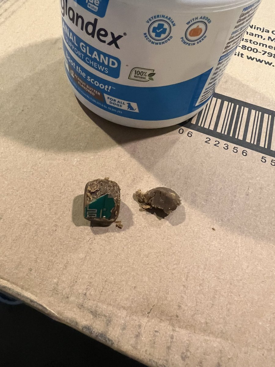 Kdaddy91's tweet photo. @Vetnique why is there a microchip in this glandex???? #vetnique #glandex https://t.co/0q7GjhaSDD