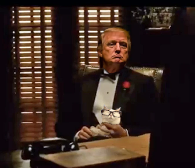 The Don is going to Make you an America Great Again you can't refuse. #MAGA