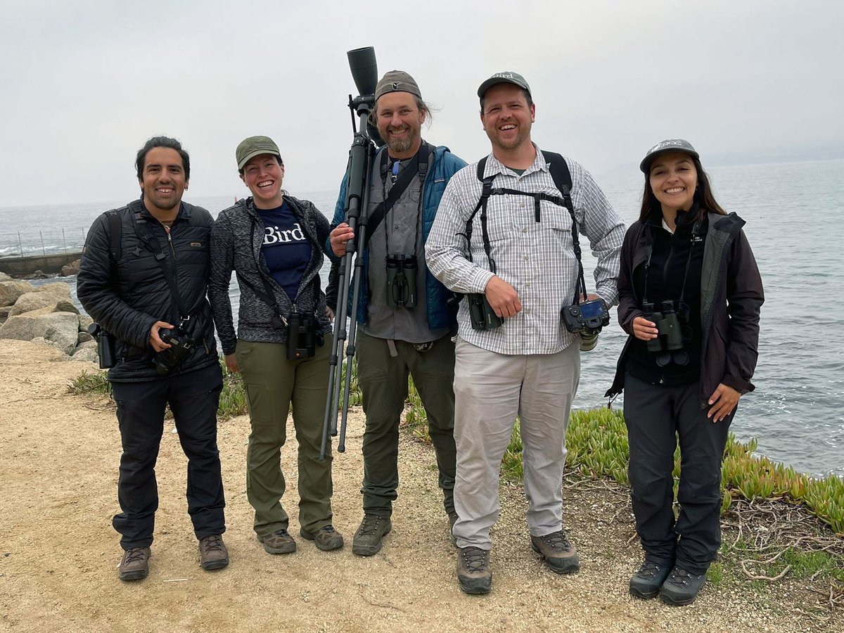 Team Sapsucker-Chile finished their #BigDay2023 with 122 species, tying the May record for Chile. L to R, still smiling after Humboldt Penguin, bird 121: Vicente Pantoja, Jenna Curtis, Cullen Hanks, Tom Auer, Sharon Montecino. Stay tuned for more from the CA team!