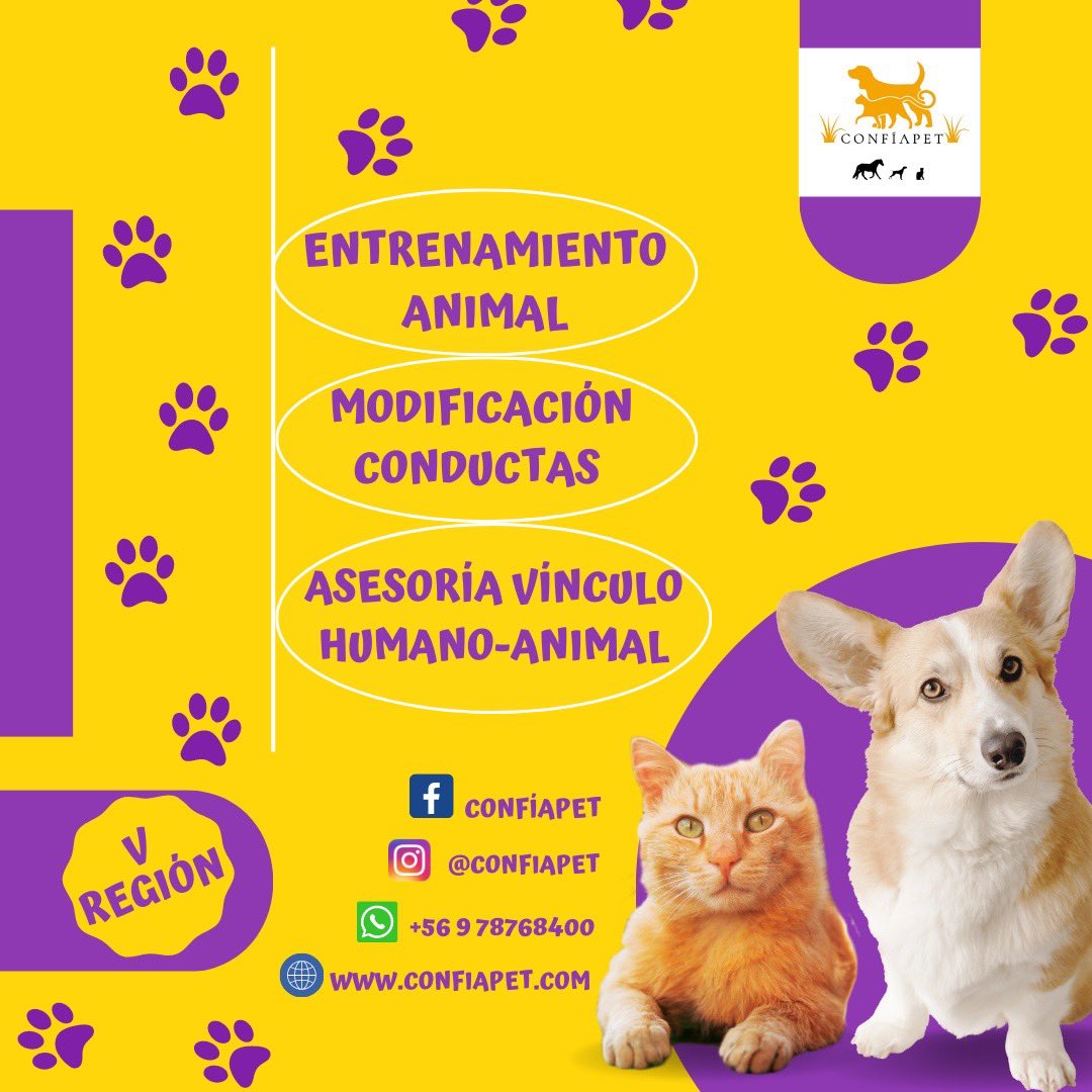 rorodonoso's tweet photo. 🆘¿Agobiado y estresado con los problemas conductuales de tu regalón?🆘                                           

✅ Nosotros te ayudamos 

#animaltrainer #confiapet #perrosfelices #gatosfelices #caballosfelices #vinculohumanoanimal #refuerzopositivo https://t.co/pBTKg1IXSX