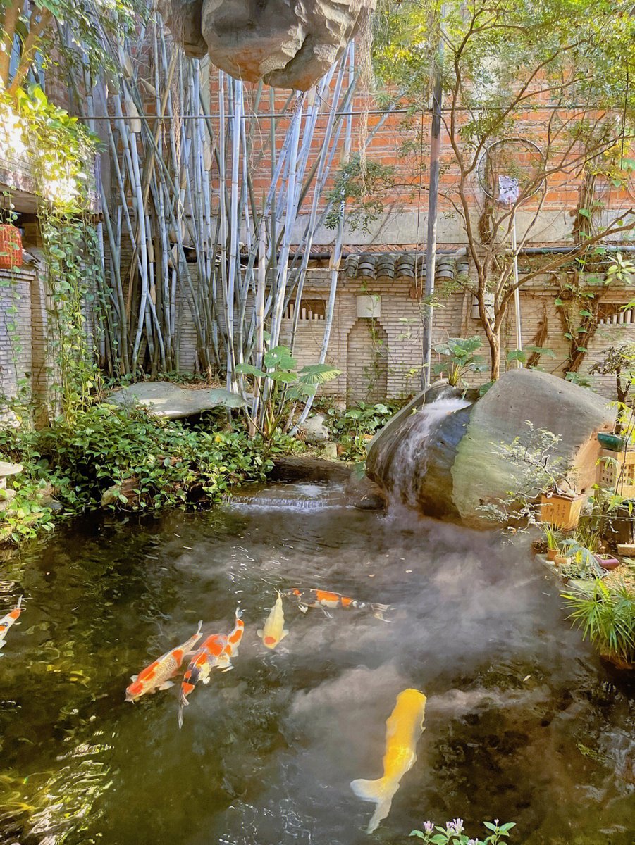 versosa25's tweet photo. Good place for morning tea💕 https://t.co/RgXcSl6ZrH