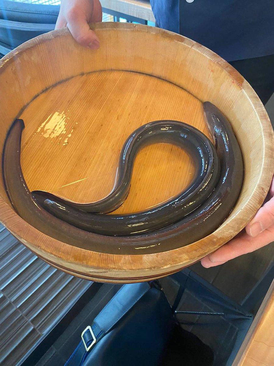 Amy665456's tweet photo. Eel dishes are super delicious. https://t.co/j9OCg5RGed