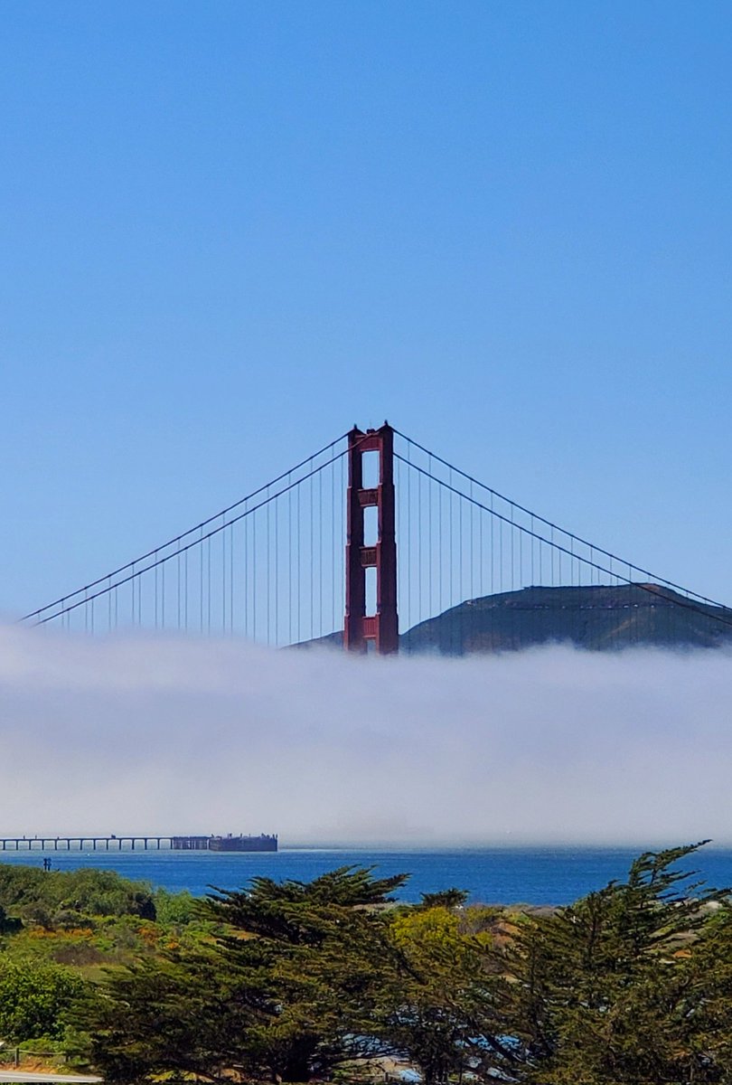 Wandering913415's tweet photo. You're a beaut today @KarlTheFog 🤍 https://t.co/dytGEymmQD