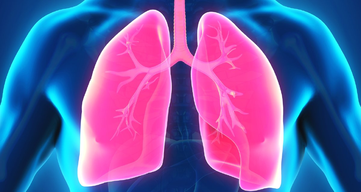 📍 Do you know how to personalize care for lung cancer patients with EGFR exon 20 mutations? #Cancer #MedEd #MedTwitter #CME
📝 ms.spr.ly/6013gn0c7