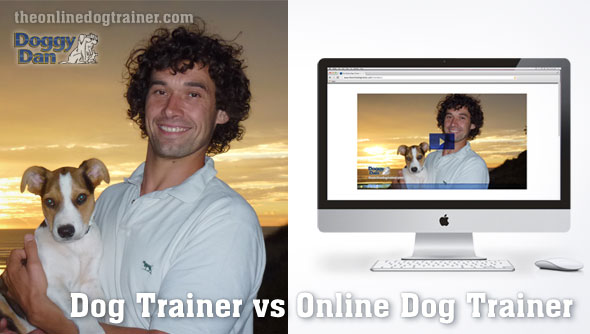 #ad #australianshepherd #dogtraining #puppytraining #aussielovers

The Great Dog Trainer Shootout: Who's the Best, and How You Can Save Hundreds 🐾💖🎓
bit.ly/2todt-dog-trai…