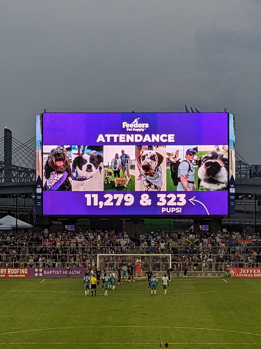 24HourPurple's tweet image. We'd like to thank dogs and only dogs for their attendance tonight