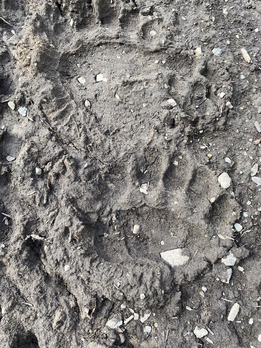 Sic’em 🐻 

<a href="/BaylorWTennis/">Baylor Women’s Tennis</a> <a href="/BaylorAthletics/">Baylor Athletics</a>