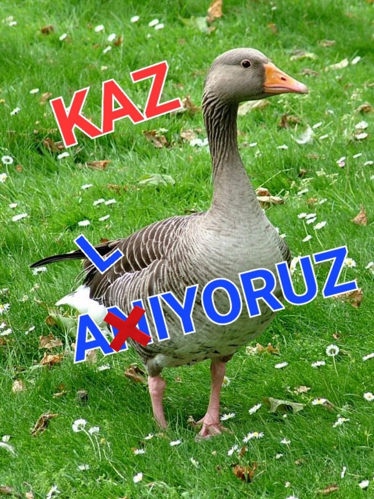 Aman Allah korusun🤲

Allah yazdıysa bozsun🤲

Onca bombacı Mülayim tanıyon kesin ülkeyi beraber uçurursunuz😱 🤦🏻‍♀️ 💣 🔥

SANA SÖZ
 
SANA YEMİN ZAFER BİZİM ☝️

Sonuç Cumhur Olacak
#DoğruAdamKazanacak

VAKİT CUMHUR VAKTİ
#ReisTayyipErdoğan