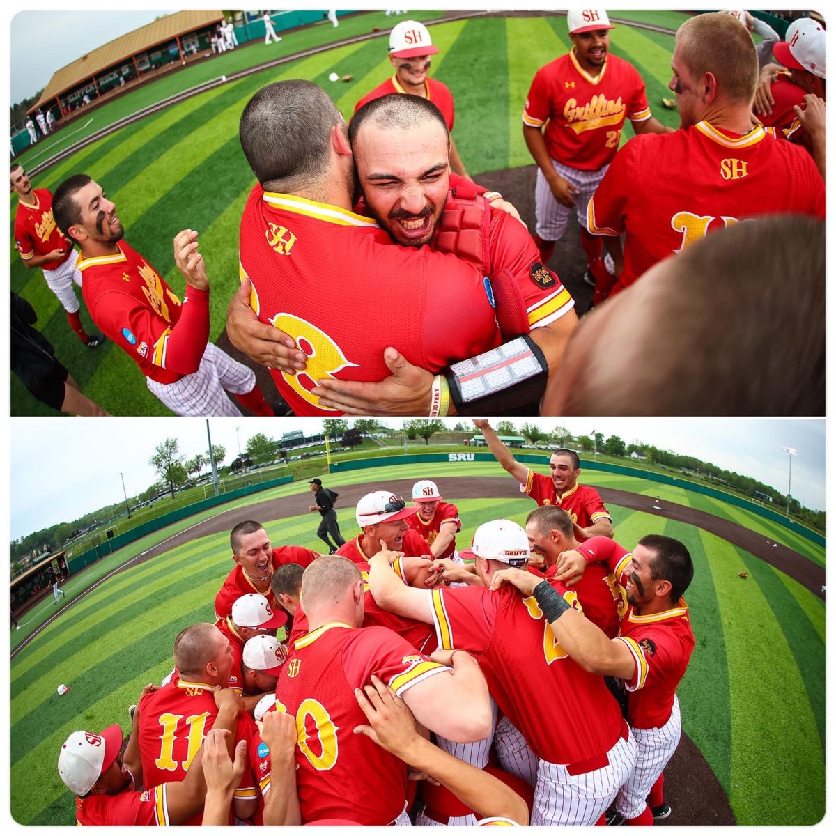 Seton Hill Baseball tweet media