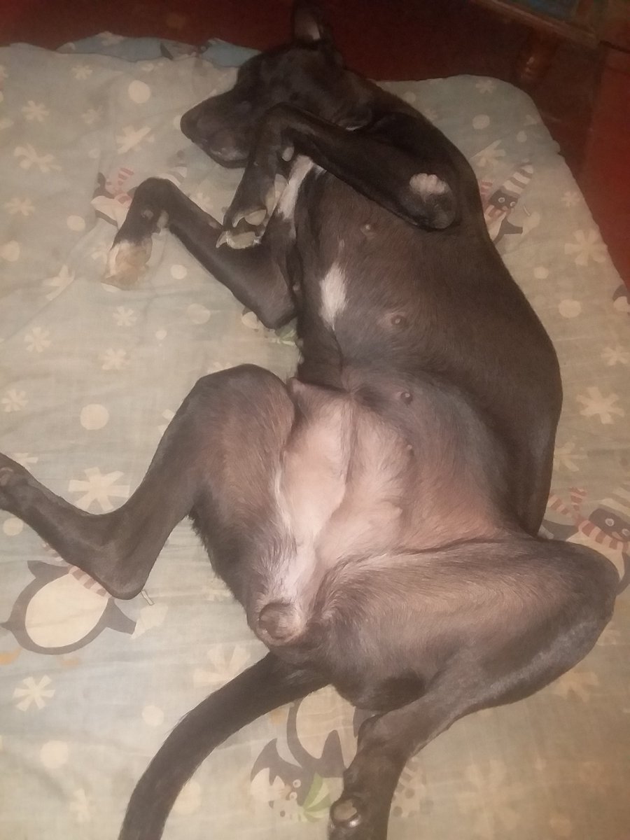 Descanso merecido le llamo UA