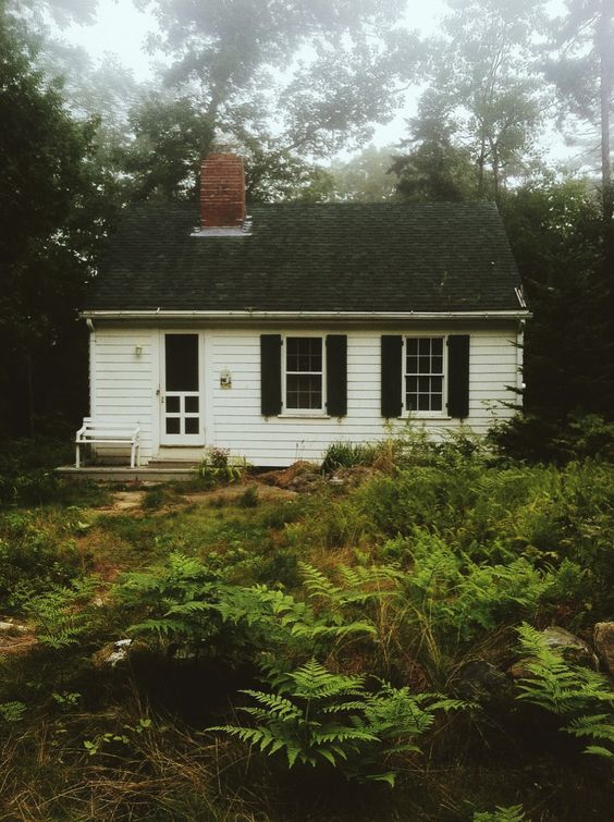 LauraCollinsRP's tweet photo. Laura still kept the cottage she had rented, to use it for certain rituals to those to whom she was in service to, and lately she had taken to using it as a refuge. To say she had ever been settled in at Collinwood would be far from the truth.
1/3 https://t.co/A0V4Xq4UmW