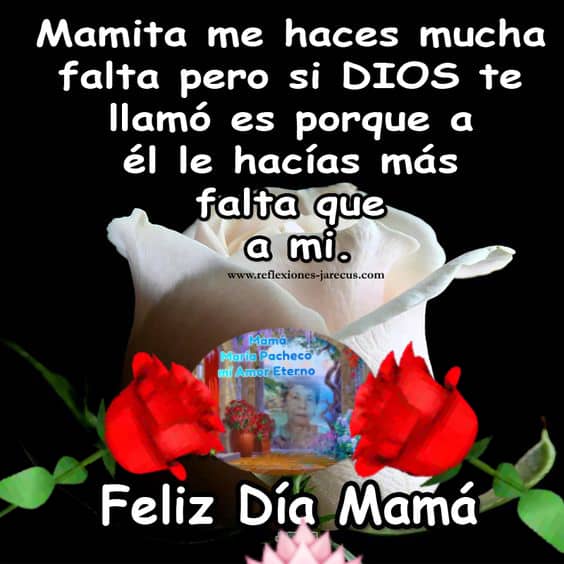 profetibi13's tweet photo. Para felicitar a mi madre María Pacheco, fuiste y siempre serás lo más grande y hermoso que me dió  Dios y la vida para que fueras mí mamá en la Tierra y ahora desde el Cielo. https://t.co/epGupw377p