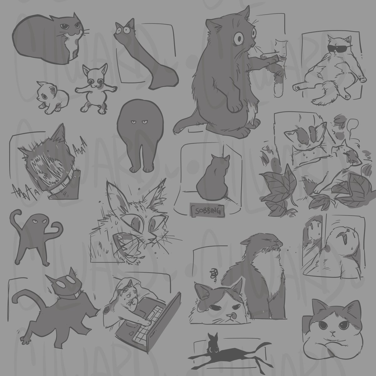 CilWard's tweet image. Silly cats being silly