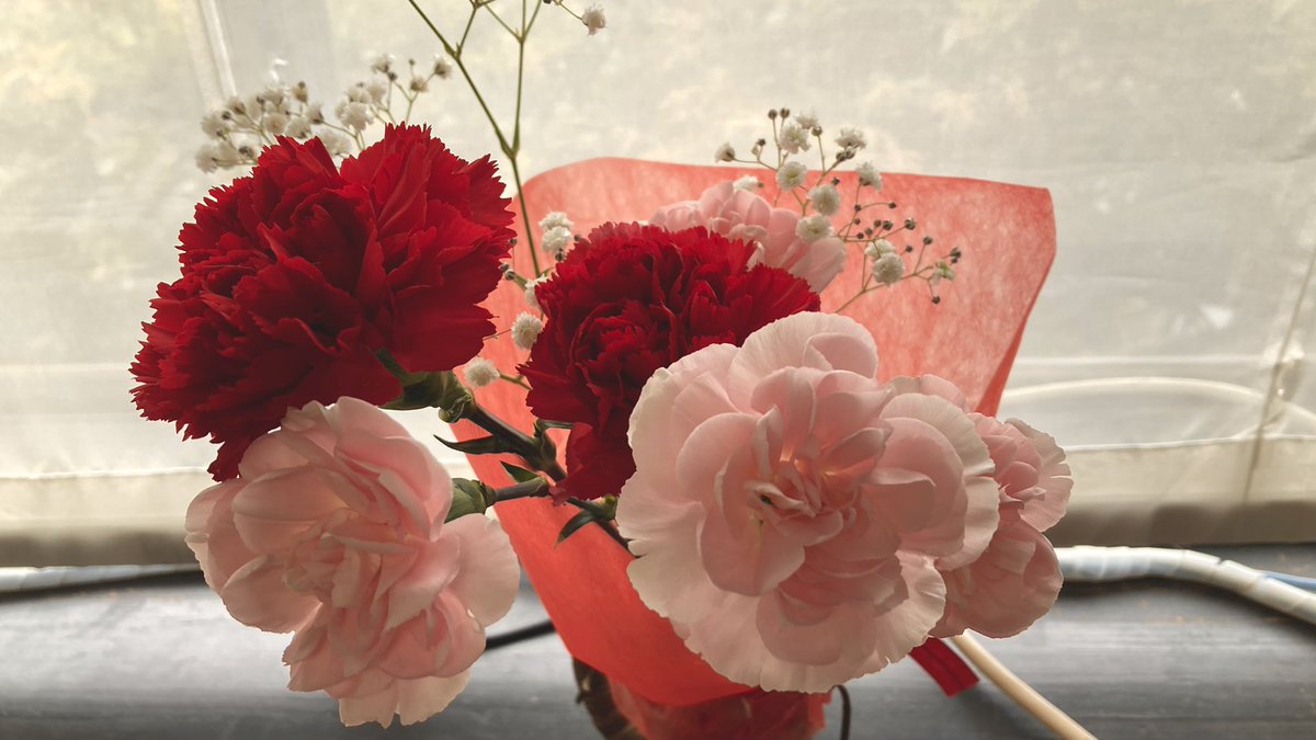 おはあみゅGM☀️
今日は母の日、人生で生まれて初めてカーネーションをもらいました😭
わあああ〜ありがとおおお〜！
今日も一日良い日にしましょう✨