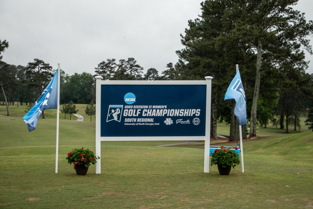 UNG Nighthawks tweet media