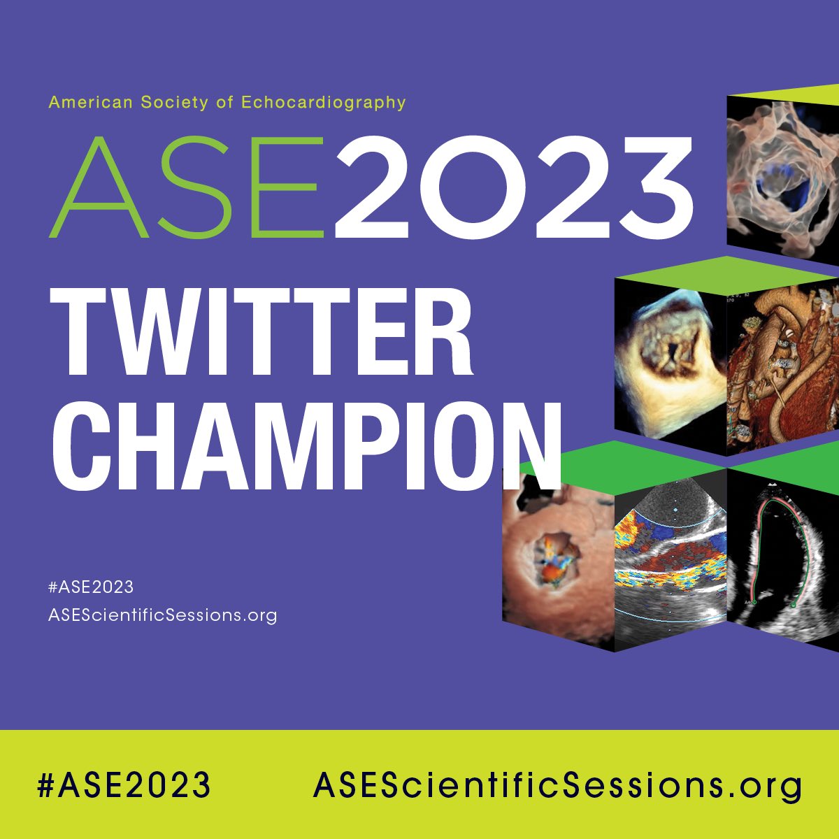Attending #ASE2023 @ASE360 Scientific Sessions in National Harbor in June? Follow me and other @Twitter champions to learn what is going on & when during the conference. Please RT. @iamritu @EGarciaSayan @SLittleMD @RWASECEO @DavidWienerMD @purviparwani @mswami001 @nicoa002