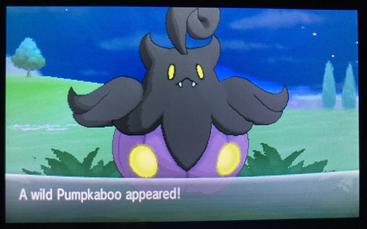 LegionisDev's tweet photo. Shiny Average Size Pumpkaboo found after 820 Friend Safari encounters. #PokemonXY #ShinyPokemon #ShinyLivingDex https://t.co/nV5nuakgsM