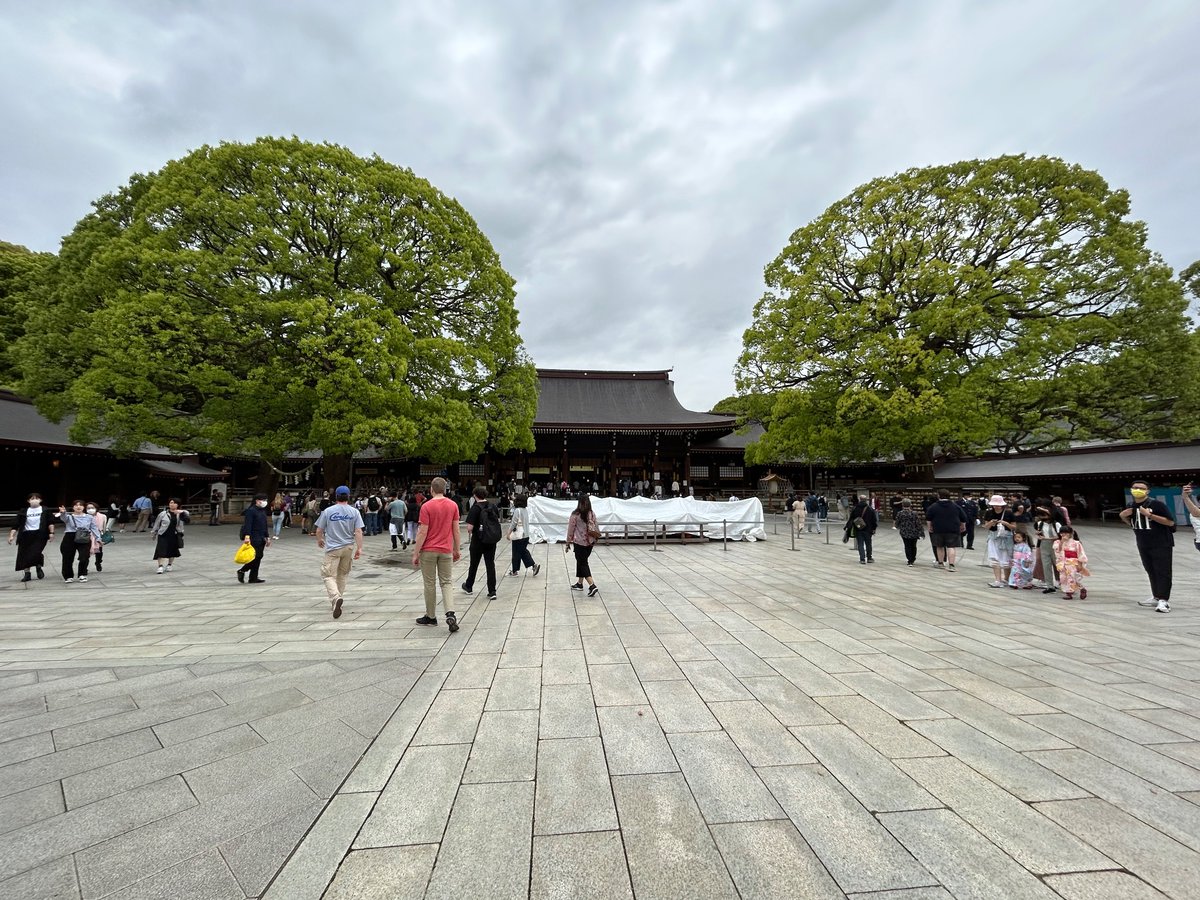 zanaroo123 tweet media